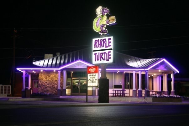purple turtle 2.jpg